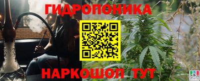 spice Кунгур