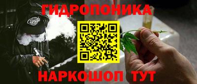 spice Кунгур