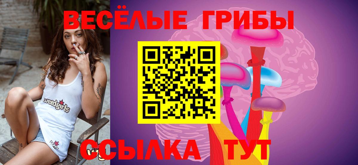 Псилоцибиновые грибы Psilocybine cubensis Казань