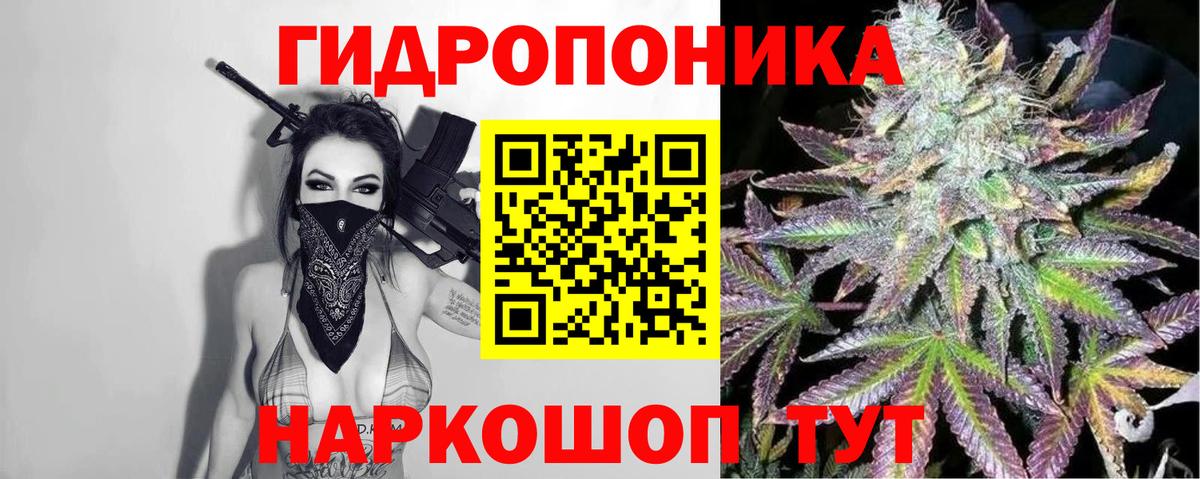 Конопля план  Вход с VPN  Казань  Бошки марихуана семена  Марихуана Ganja 